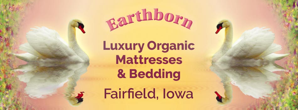 The Earthborn Bedroom — Luxury Organic Mattresses / Fairfield, Iowa